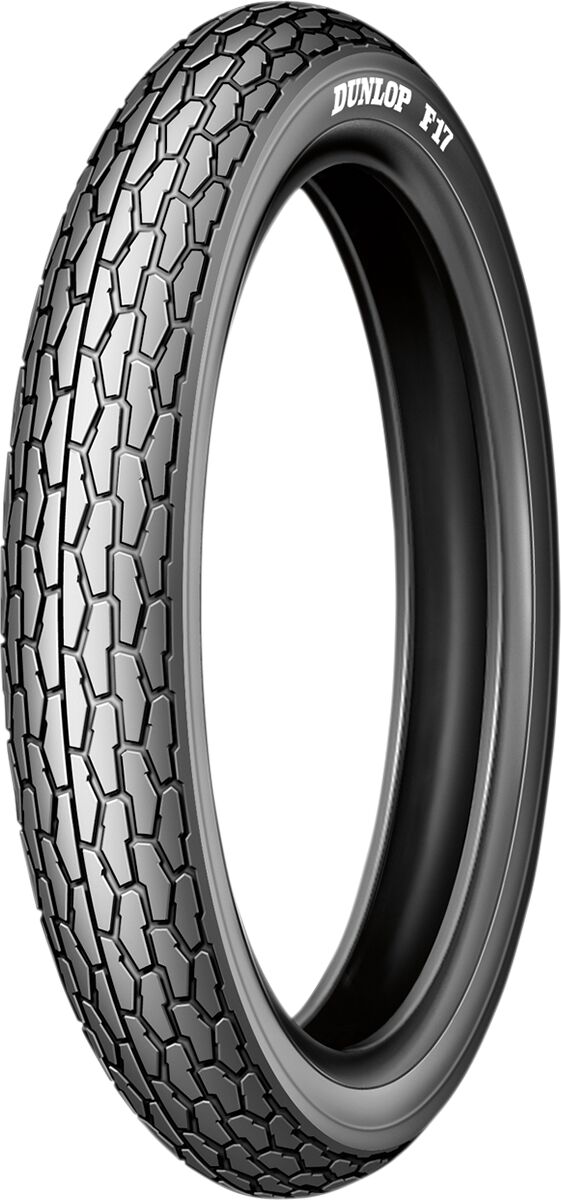 F17 100/90-17 55S TL