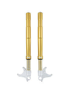 FORK BMW S/M1000 RR FGRT200 FG