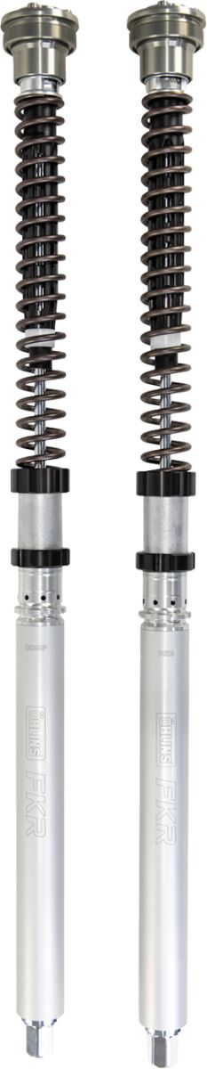 Cartridge Kit FKR 219 Suzuki GSX-R600 750 (Showa)