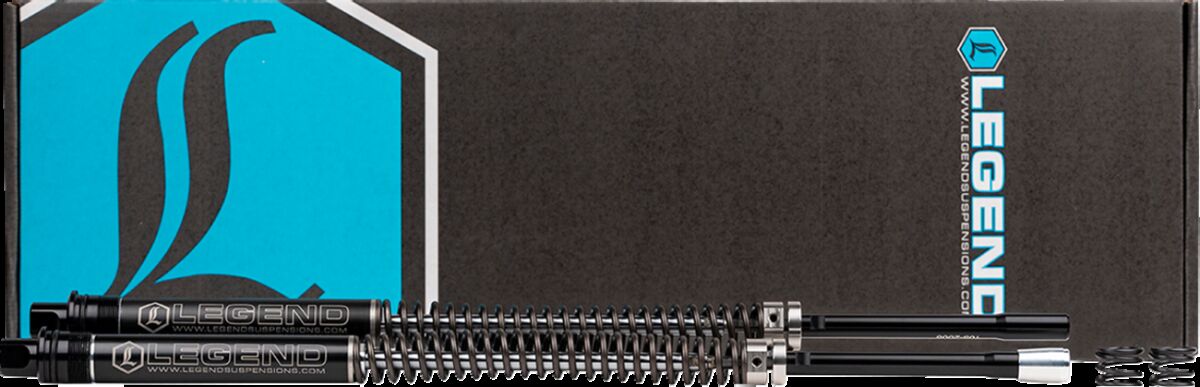 FORK SPR/CART 41mm STD