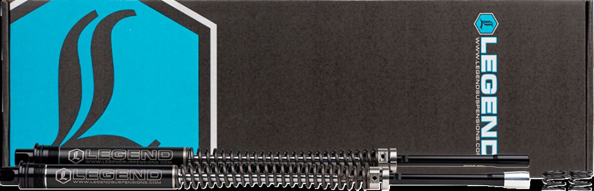 FORK SPR/CART 41mm LWR