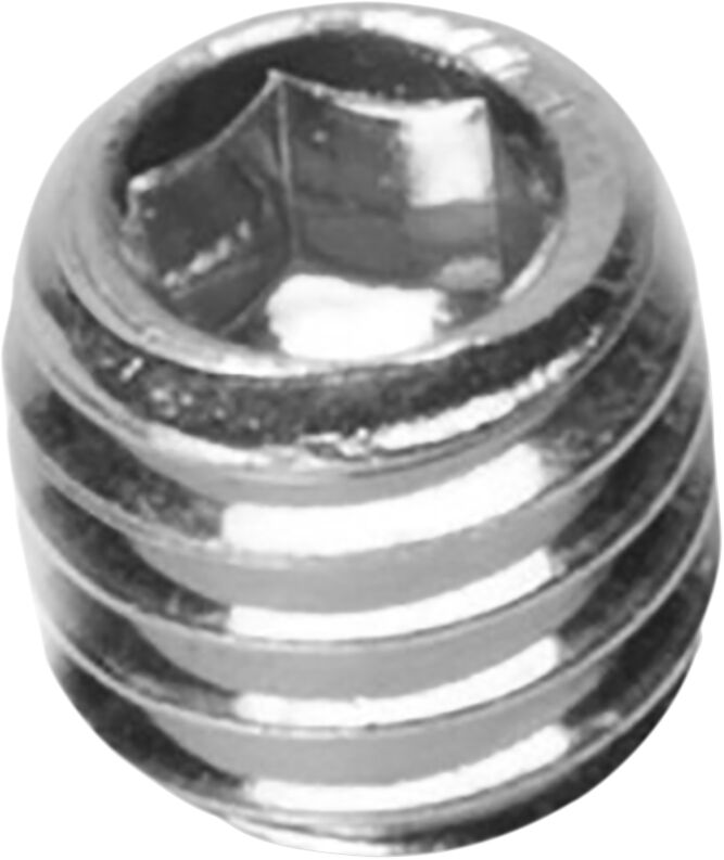 FORK INNERTUBE SECURING SCREW