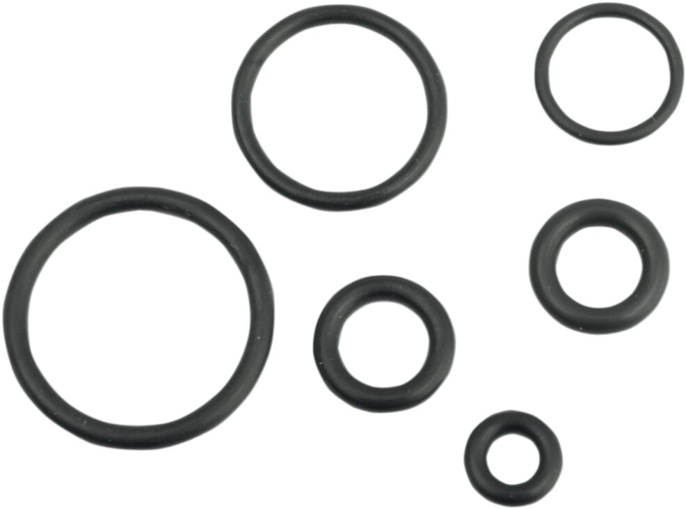 O-RING KIT FOR EFI FUEL LINE