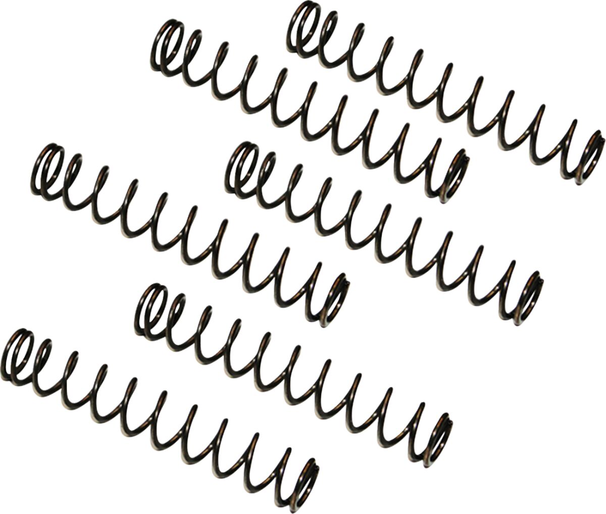 CAMPLATE PRESSURE RELIEF VALVE SPRINGS