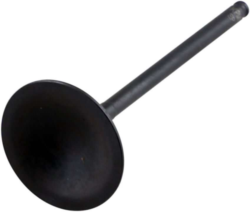 Sisselaskeklapp Black Diamond