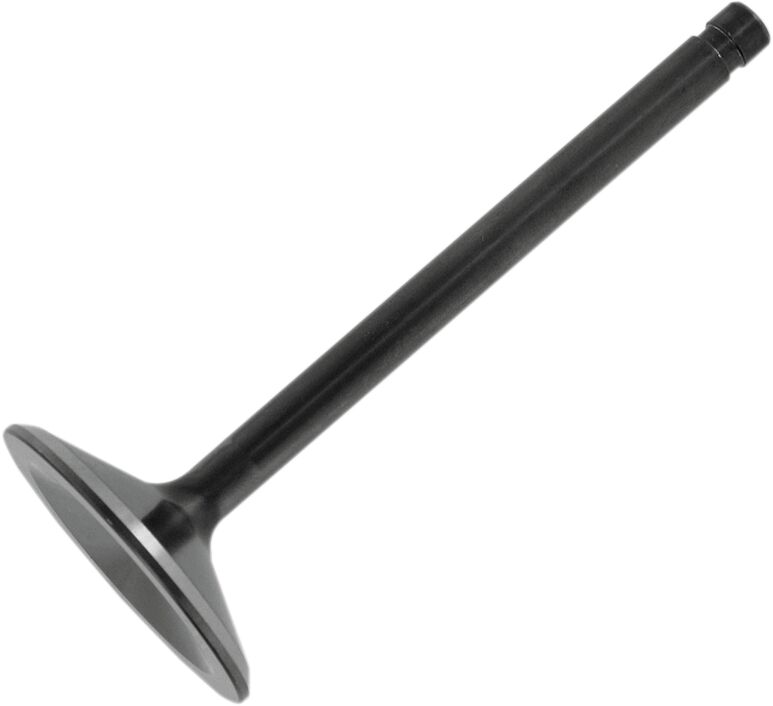 Sisselaskeklapp Black Diamond