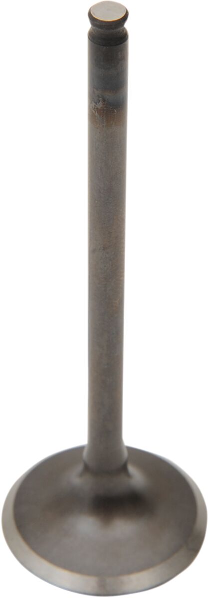 Mootori sisselaskeklapp, teras