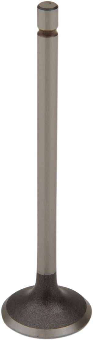 Mootori sisselaskeklapp, teras