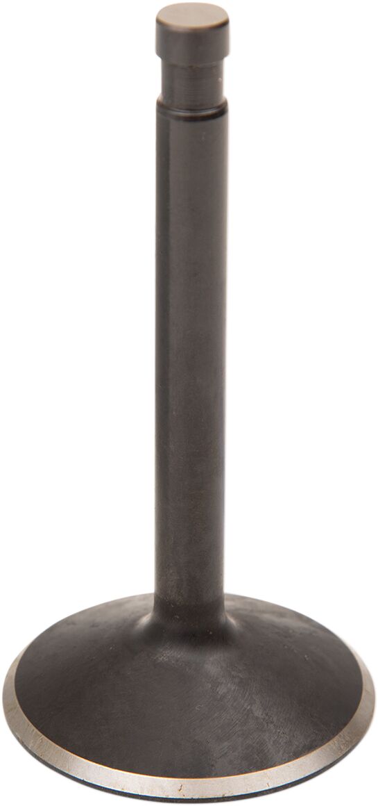 Sisselaskeklapp Black Diamond