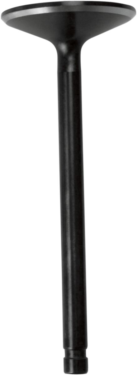 Sisselaskeklapp Black Diamond