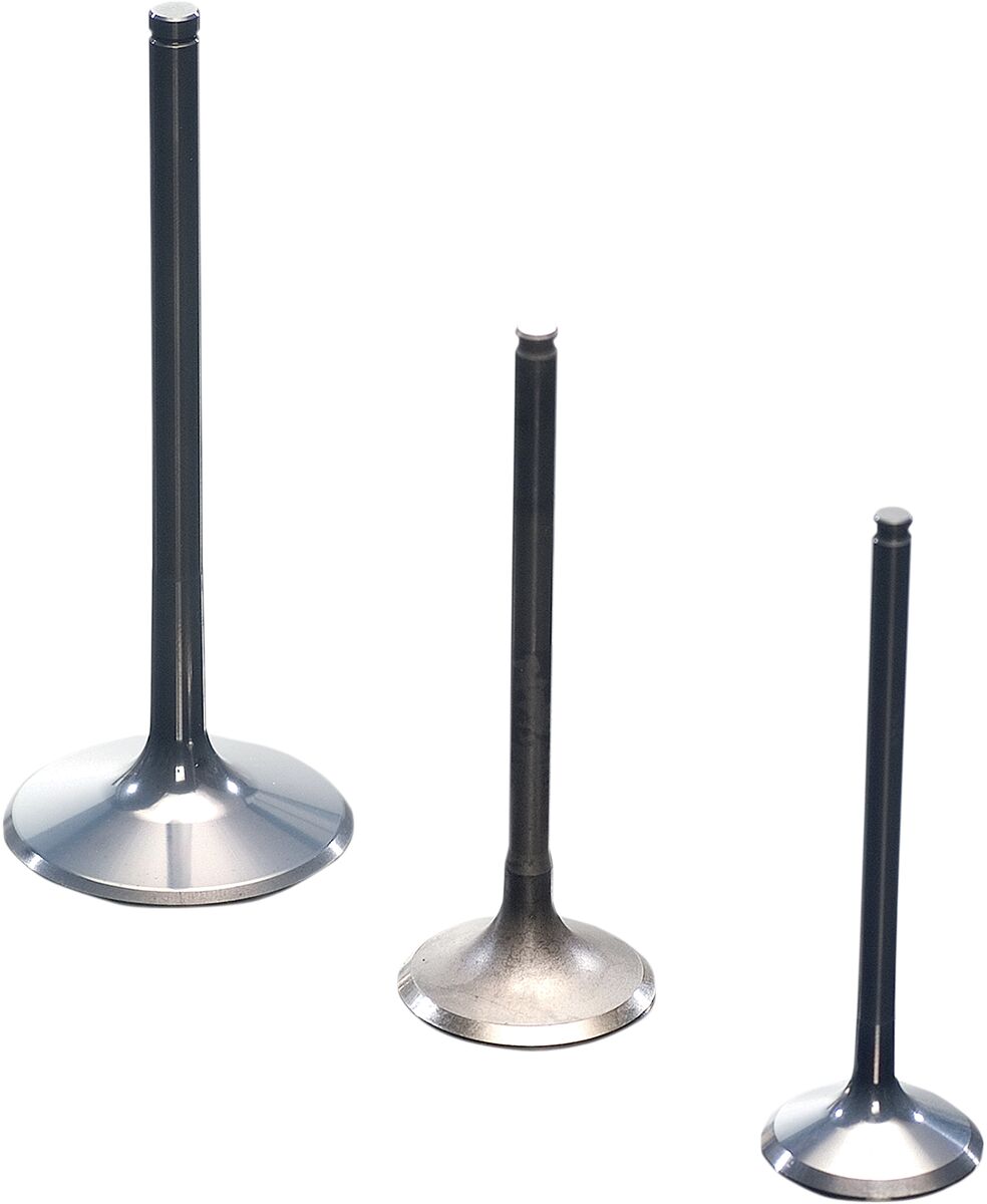 Mootori sisselaskeklapp, titaan