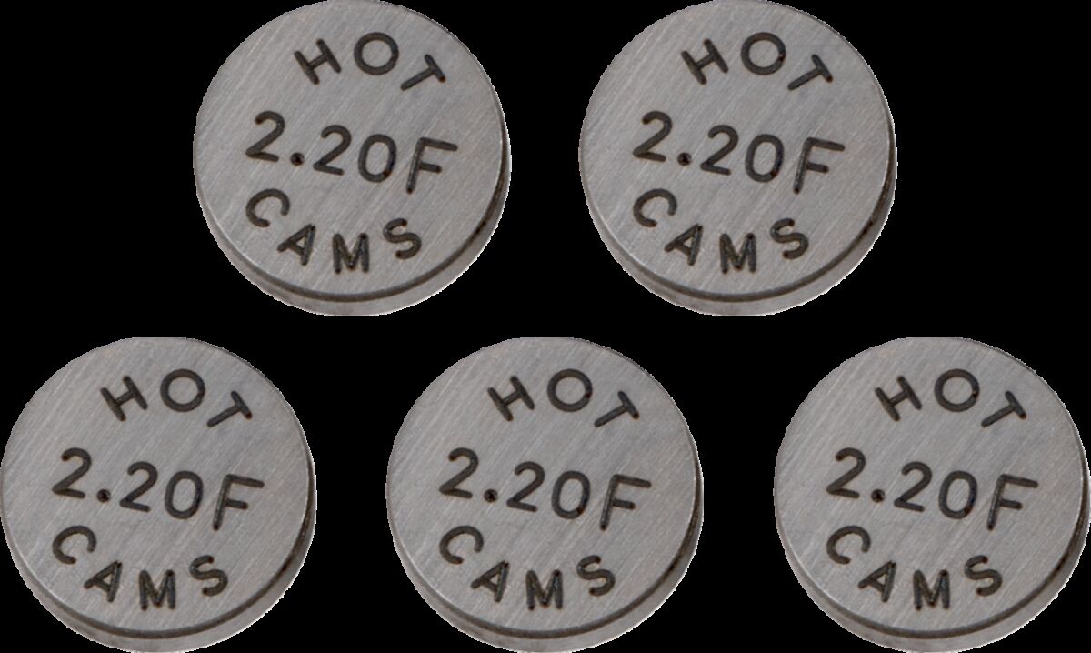 Klapiseib 10.0X2.20, 5 tk