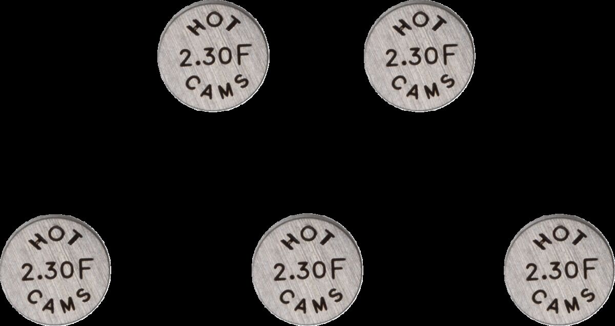 Klapiseib 10.0X2.30, 5 tk