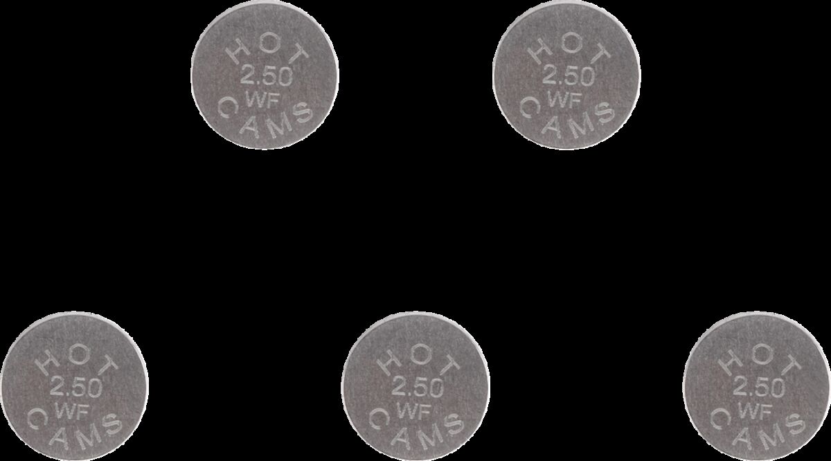 Klapiseib 10.0X2.50, 5 tk