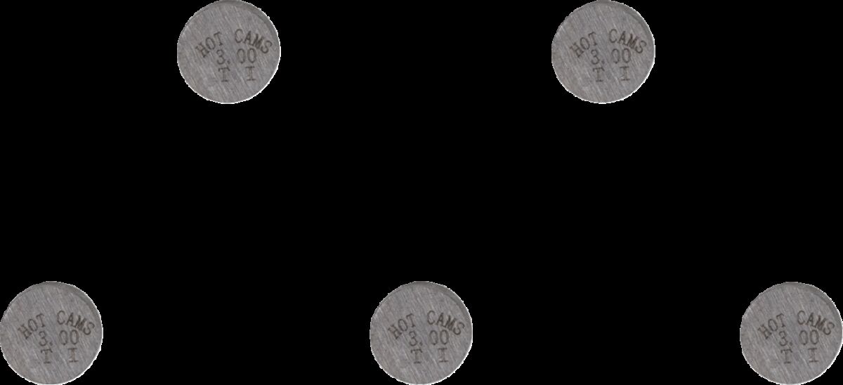 Klapiseib 7.48X3.00, 5 tk