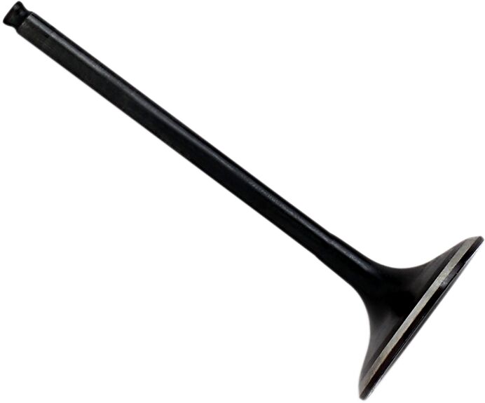 Sisselaskeklapp Black Diamond
