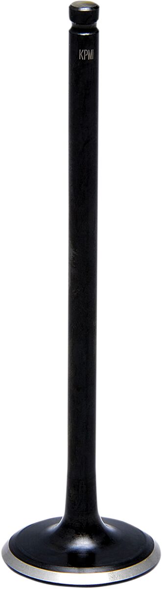 Sisselaskeklapp Black Diamond