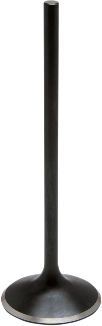 Sisselaskeklapp Black Diamond
