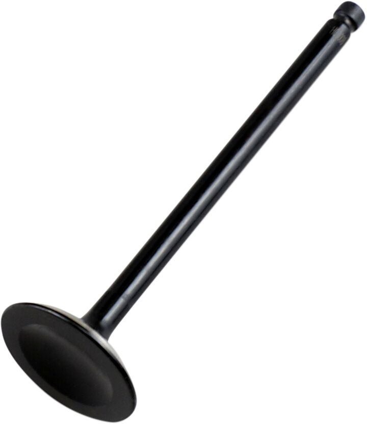 Sisselaskeklapp, teras