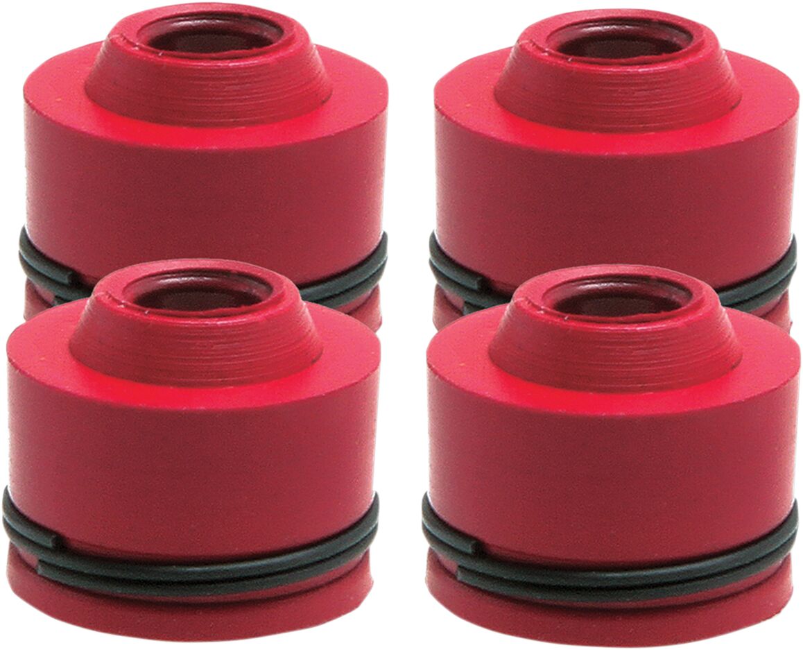 Klapijuhtiku tihend KX250F 4/PK