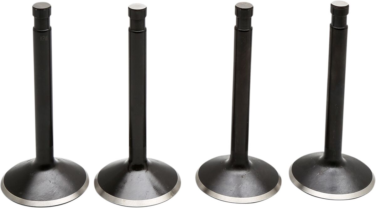 Klappide komplekt, Shovel 74 66-77
