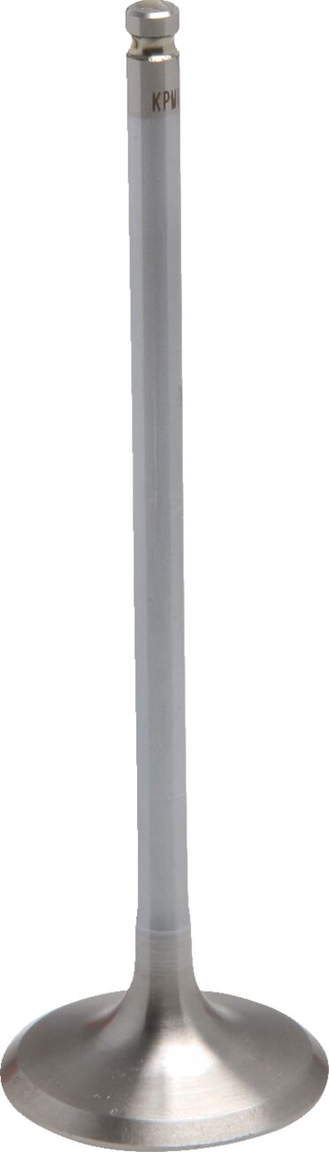 Sisselaskeklapp WD, KX250F 20-21