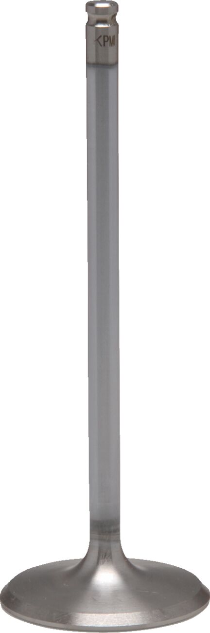 Sisselaskeklapp, standardne, HON1000 16+
