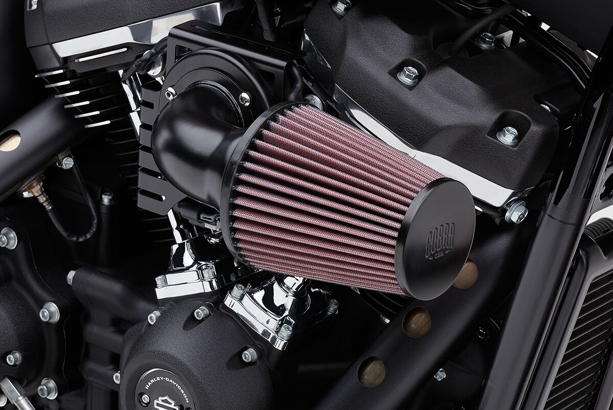 AIR FILTER CN B/B SFT/DYN