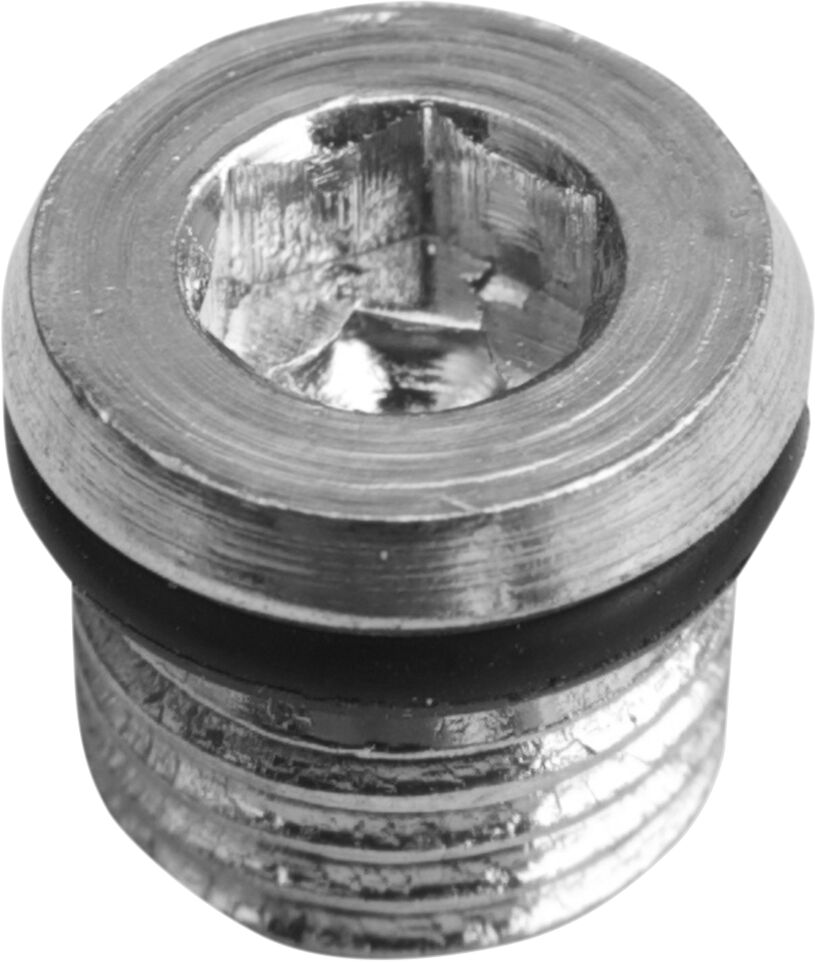 MAGNETIC DRAIN PLUG W/ O-RING 5/16"-18