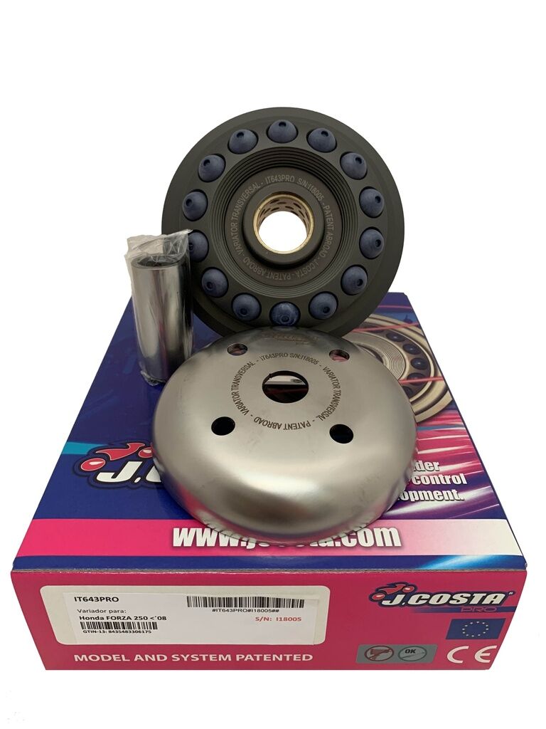 Variaator, Honda Forza 250CC