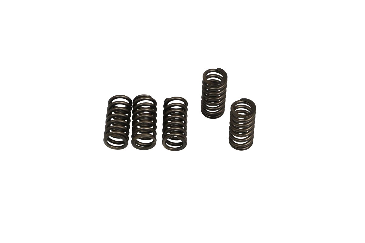 Siduri vedrude komplekt (6 tk)