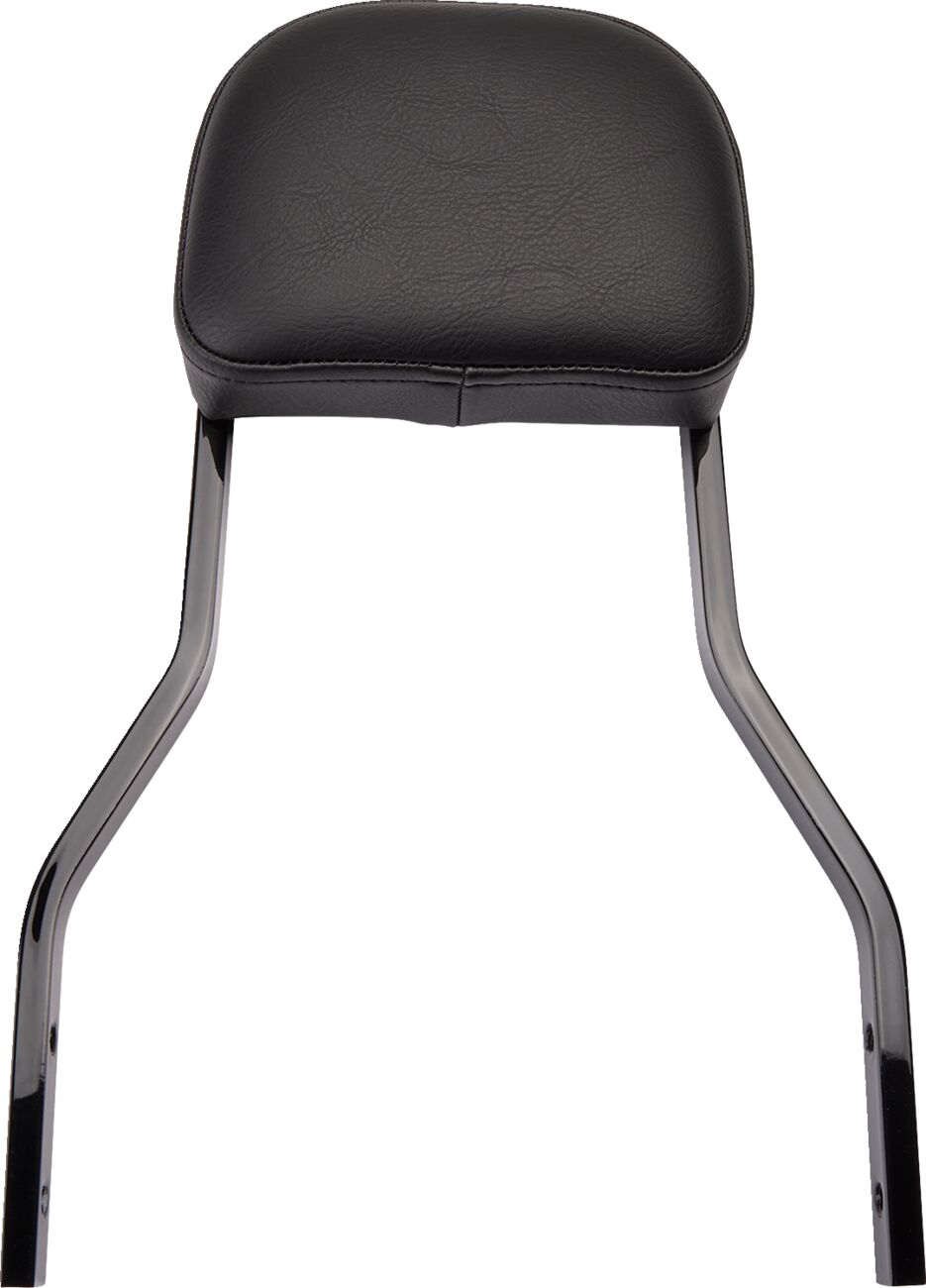 BACKREST SHRT FLHC/S