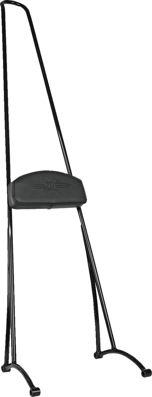 Stupid Tall Sissy Bar