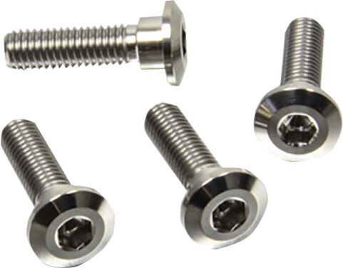 BRAKE ROTOR BOLT KIT TITANIUM