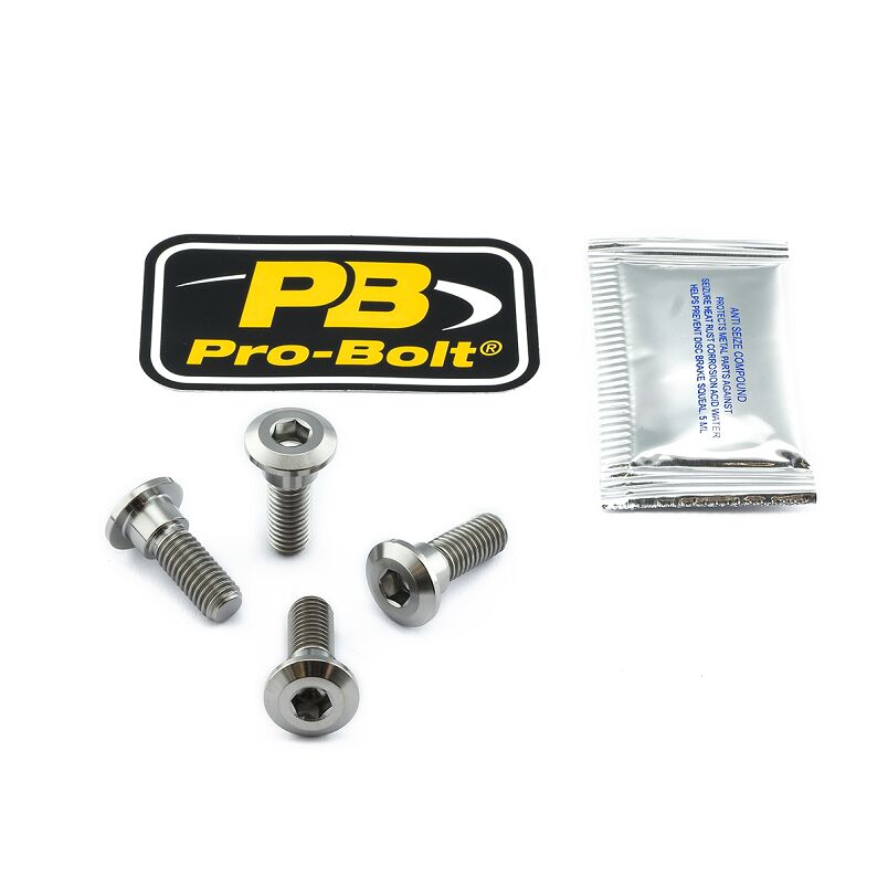 BRAKE ROTOR BOLT KIT TITANIUM