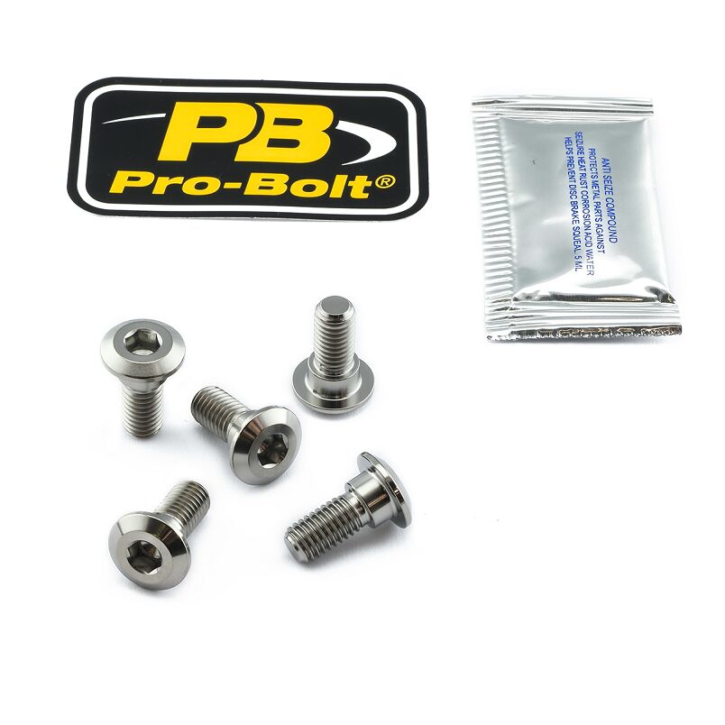 BRAKE ROTOR BOLT KIT TITANIUM