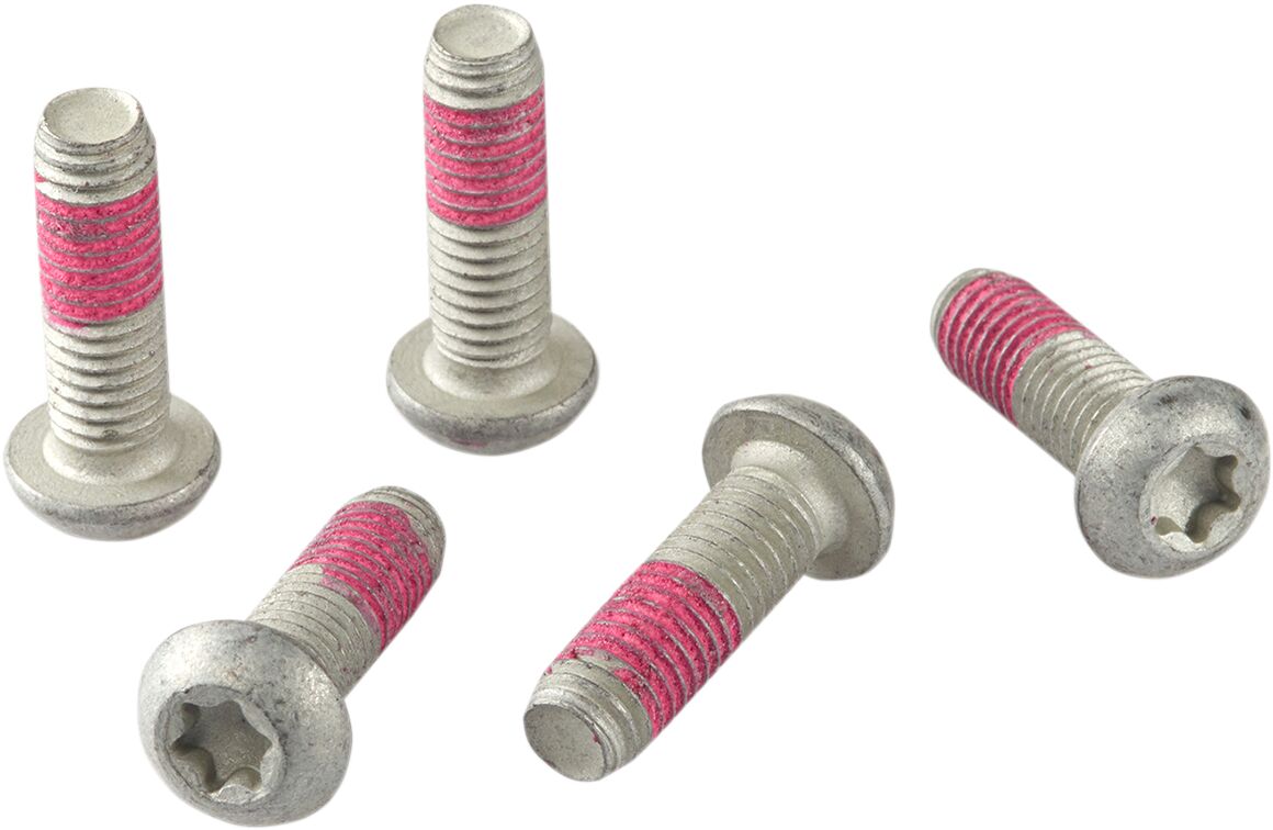 BRAKE DISC BOLT