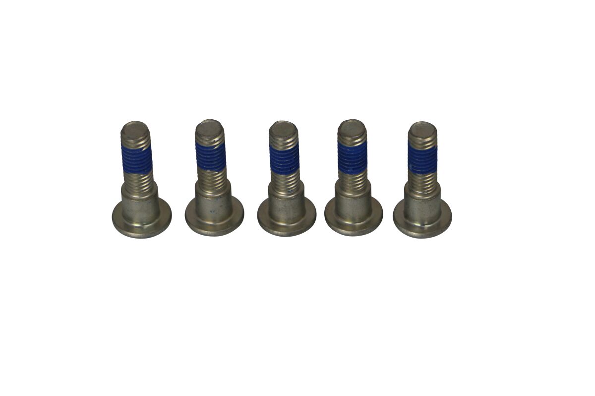 BRAKE ROTOR BOLTS