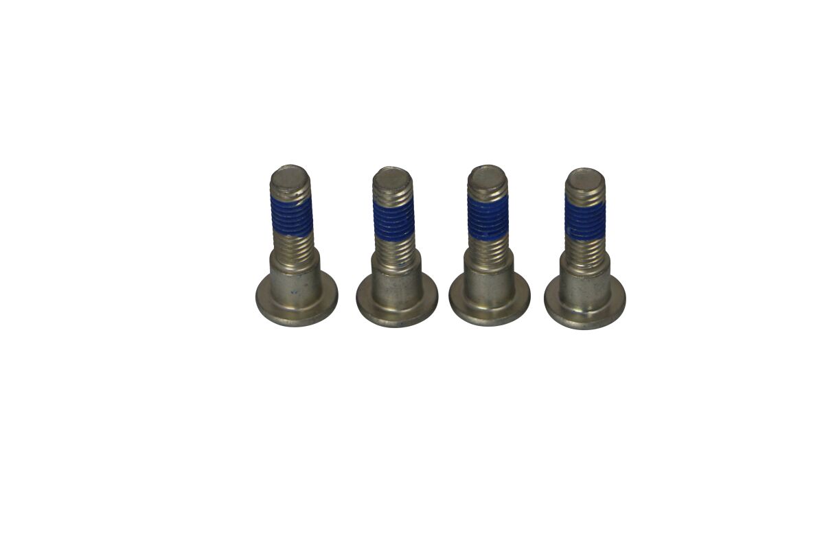 BRAKE ROTOR BOLTS