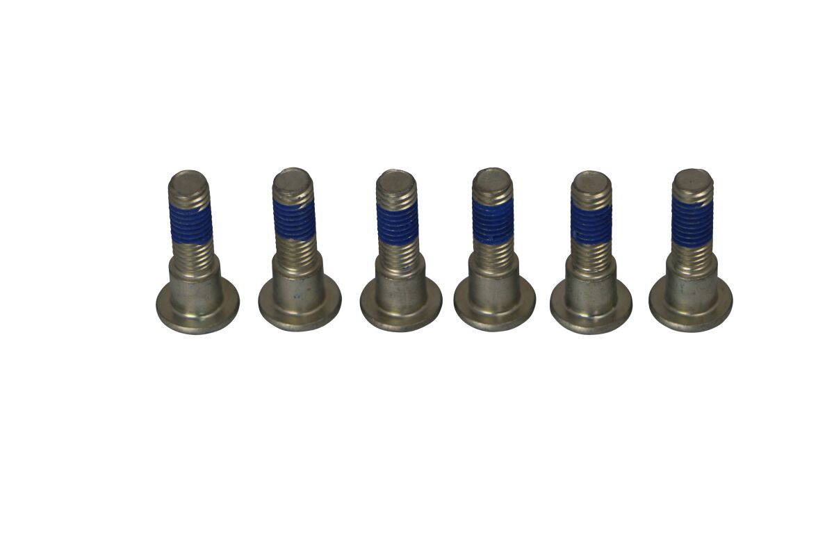 BRAKE ROTOR BOLTS