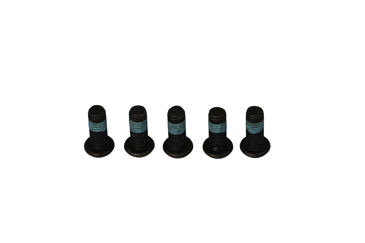 BRAKE ROTOR BOLTS