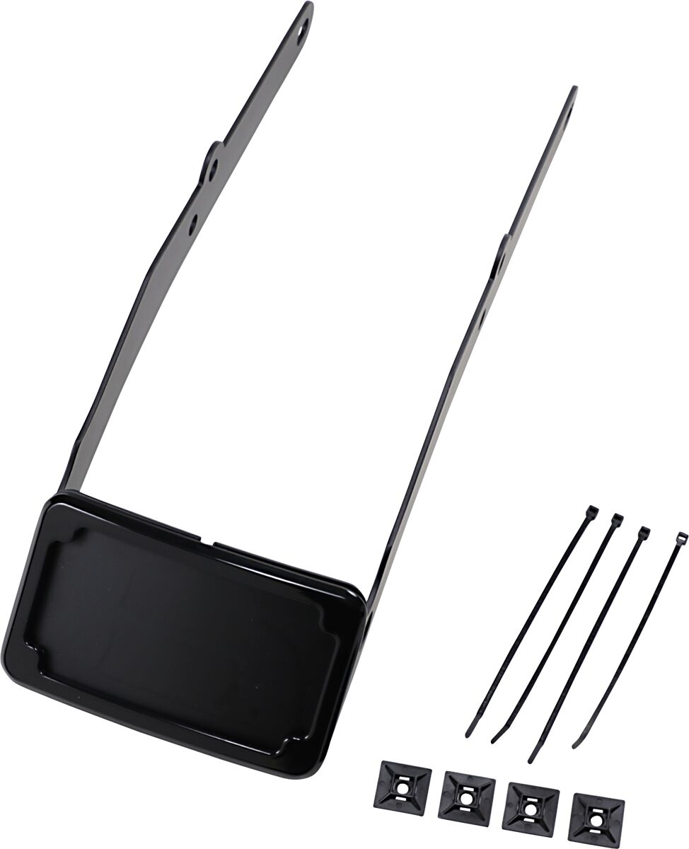 FRAME LP CRV LT FLSL BLK