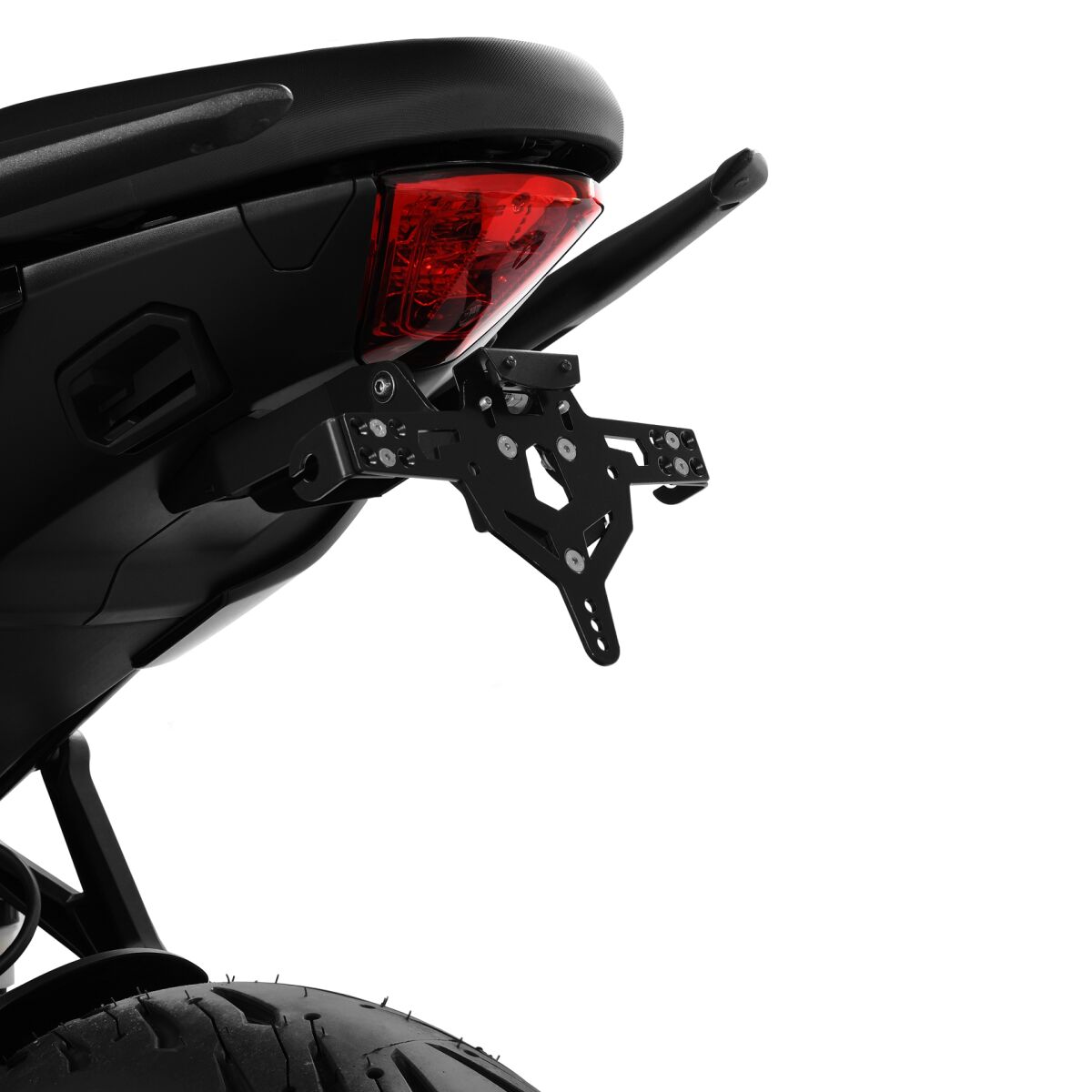 LICENSE PLATE HOLDER PRO TYPE D TIGER SPORT 660