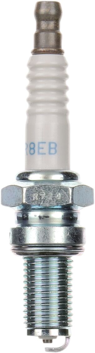 Süüteküünal DR8EB