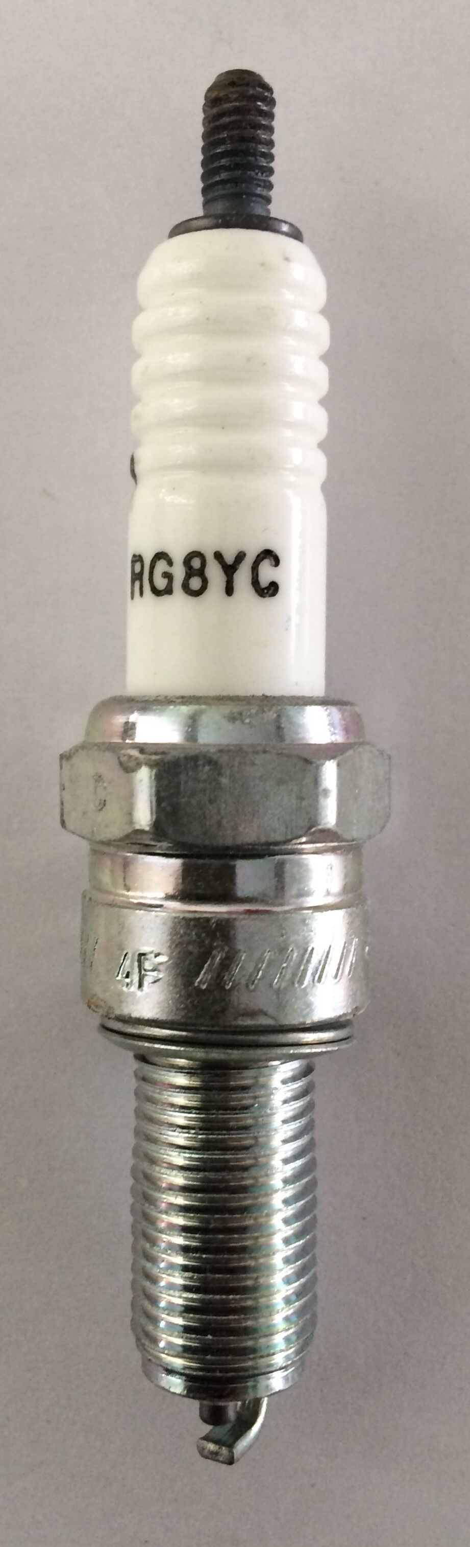 Champion süüteküünal RG8YC