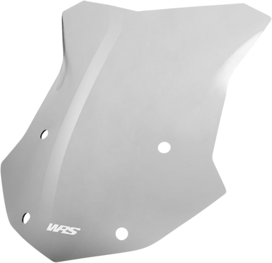 Tuuleklaas Sport R1250GS, tumendatud
