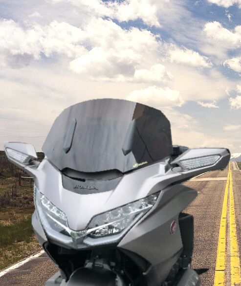 Tuuleklaas HP, Honda Goldwing18