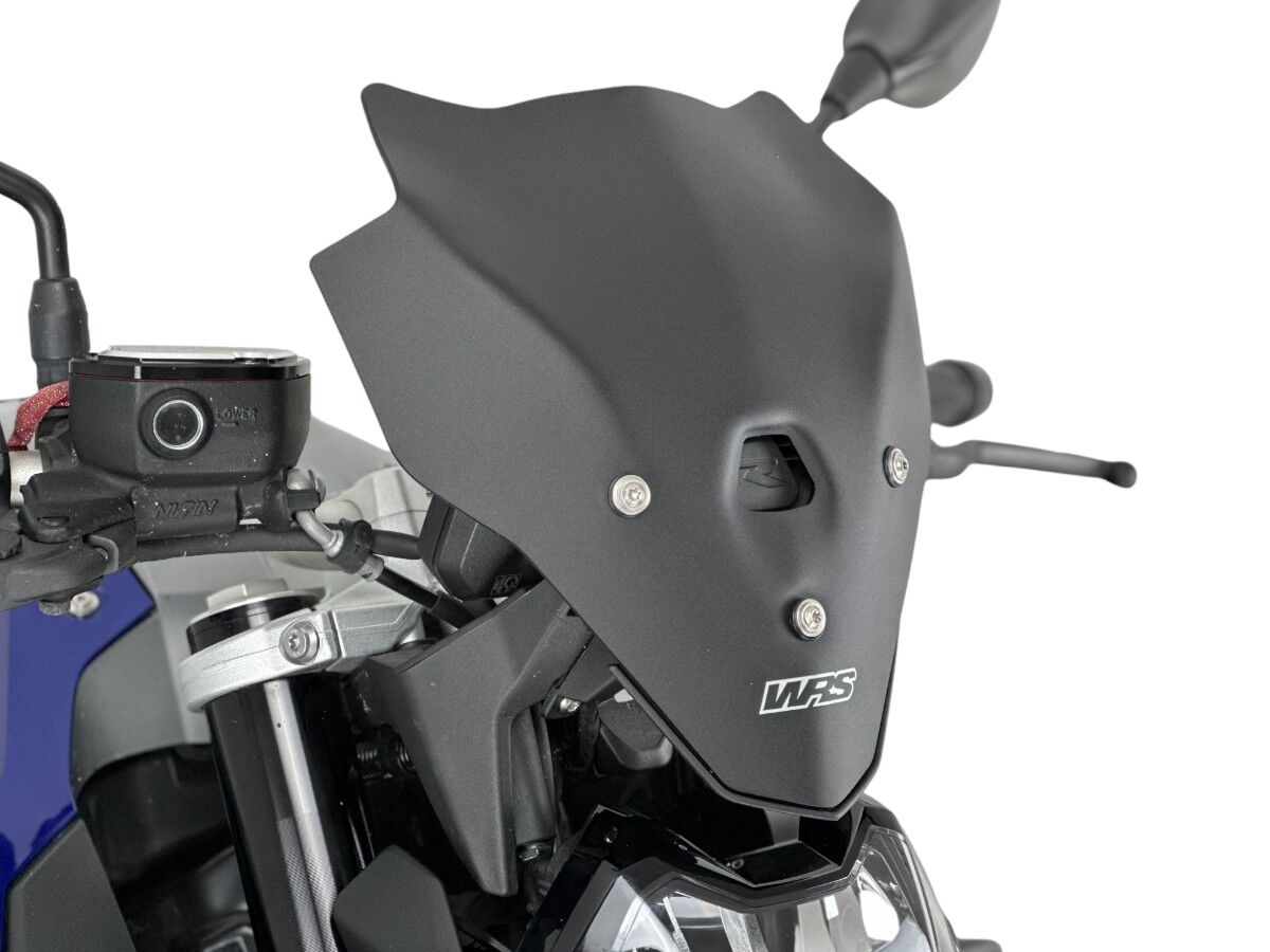 WRS tuuleklaas, turismi, BMW F900R, matt must