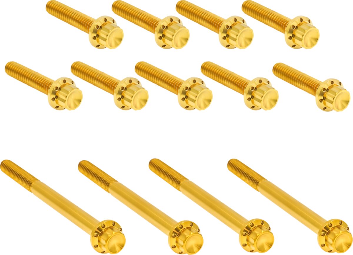Primaarkatte kinnitusdetailide komplekt, titaan, 12PT, kuldne