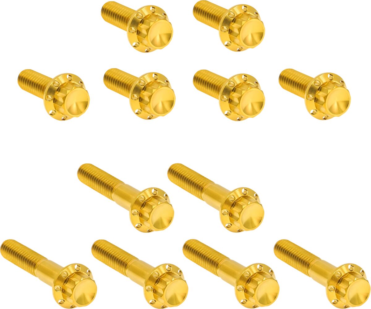 Kinnitusdetailide komplekt, titaan, 12PT, klapikangi kast, kuldne